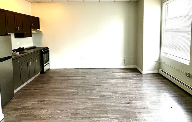 Studio, 1 bath, 255 sqft, $1,450, Unit 319