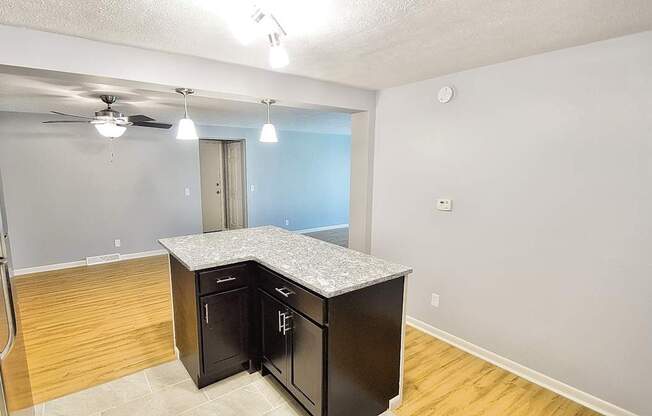 A kitchen with black cabinets and a wooden floor.