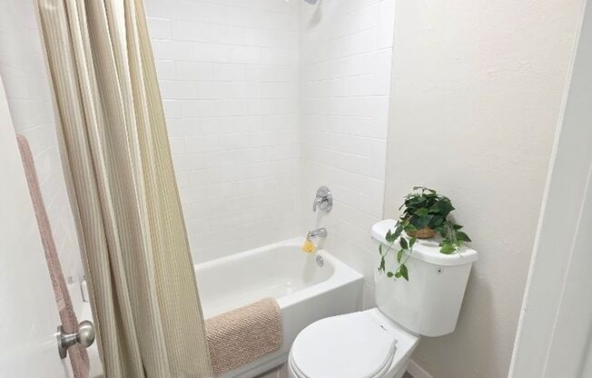 2 beds, 1 bath, 900 sqft, $1,321, Unit LAW11-116