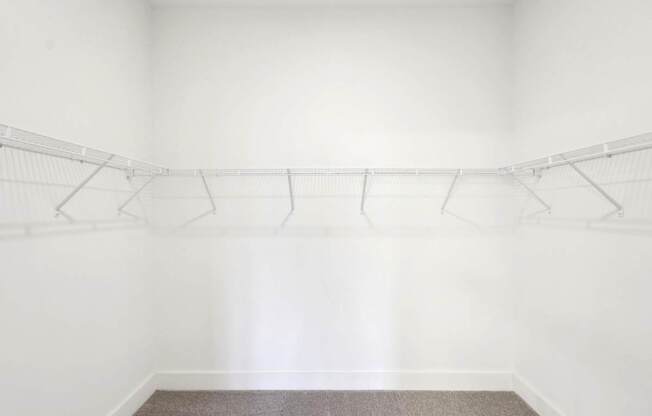 Extremely spacious walk-in closet.