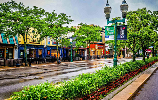 a city street with shops and trees on a rainy day