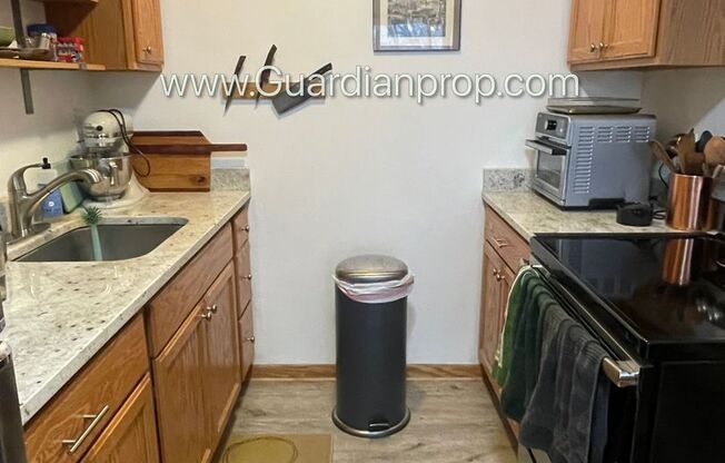 Northeast Renovated Corner Unit Main Floor, Parking, Very Bright, USI Connected
