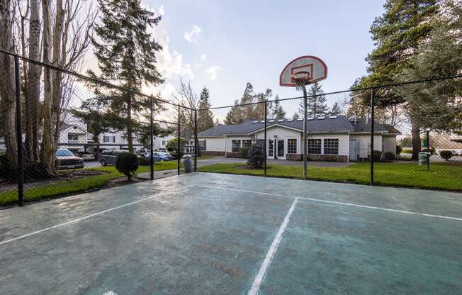 Basketball Court