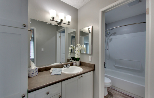 1 bed, 1 bath, 675 sqft, $1,895, Unit 314