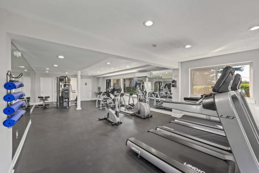 Two Level Fitness Center at The District at Forestville Apartments, ZPM , Maryland, 20747