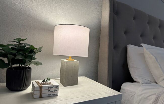 Studio, 1 bath, 500 sqft, $1,099, Unit 5209