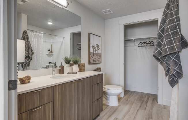 Bathroom with large vanity, mirror, wood tone floors, and walk-in closet