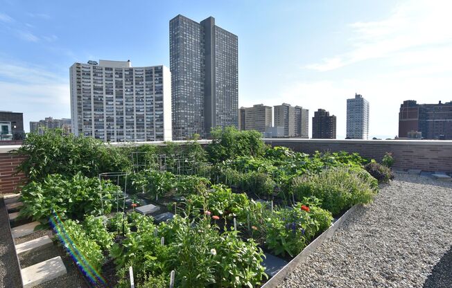 1 bed, 1 bath, 713 sqft, $3,100, Unit 3833-607