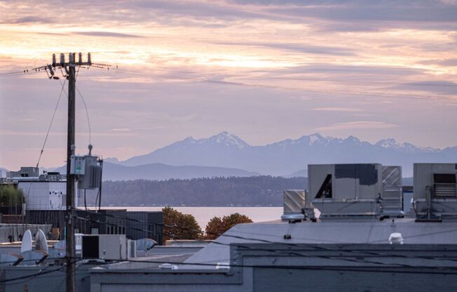 Studio, 1 bath, 350 sqft, $1,500, Unit 314