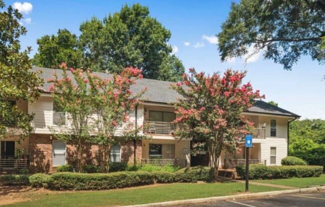 1 bed, 1 bath, 770 sqft, $999