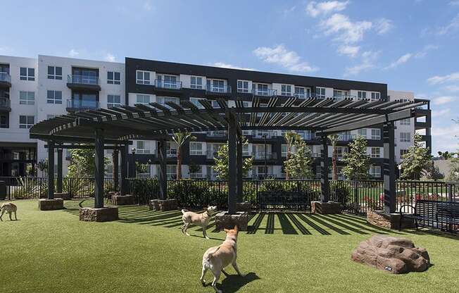dog park at Vora Mission Valley, San Diego, California