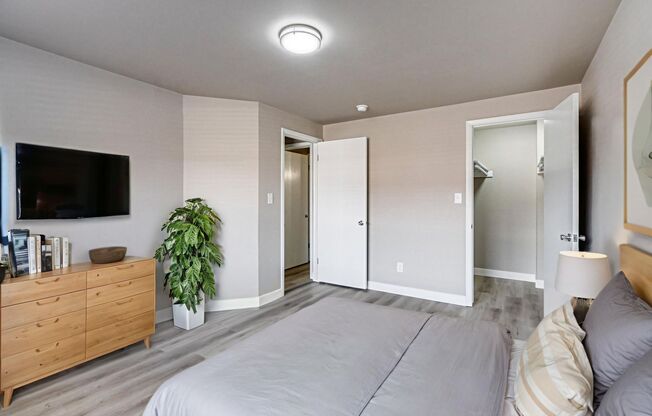 1 bed, 1 bath, 582 sqft, $949, Unit 2245-03