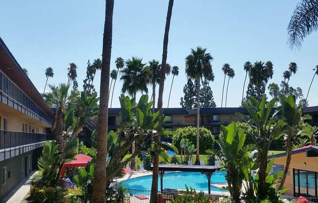 Pool l Coronado Palms Apartments in Anaheim CA