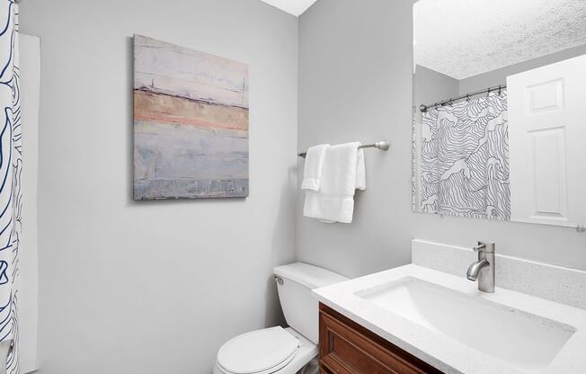 a bathroom with a toilet sink and mirror at Stonewater Apartments, Kentucky