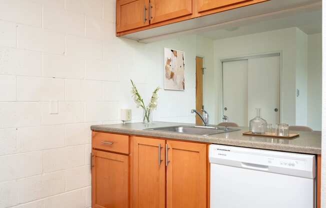 a kitchen with a sink and a dishwasher and a mirror