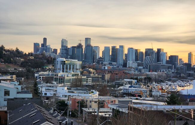 1 bed, 1 bath, 385 sqft, $1,695, Unit 504