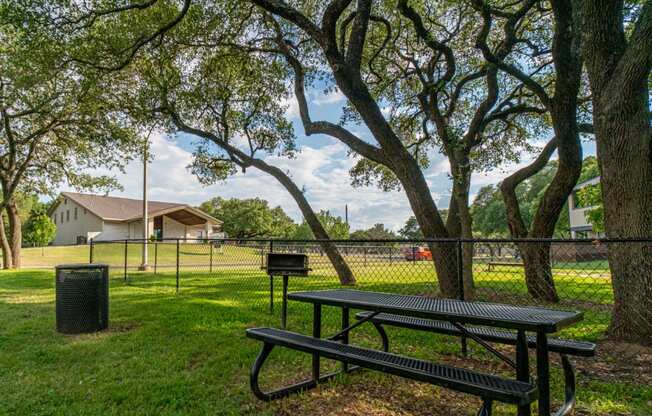 apartments in austin tx with a large dog park