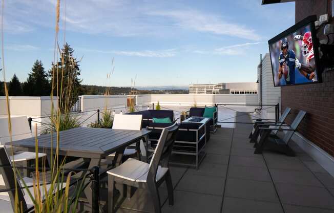 Roof-Top Terrace with Barbecue