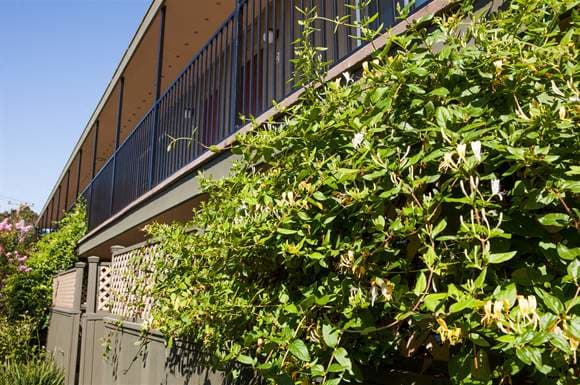 Welcome to Park Taylor Apartments