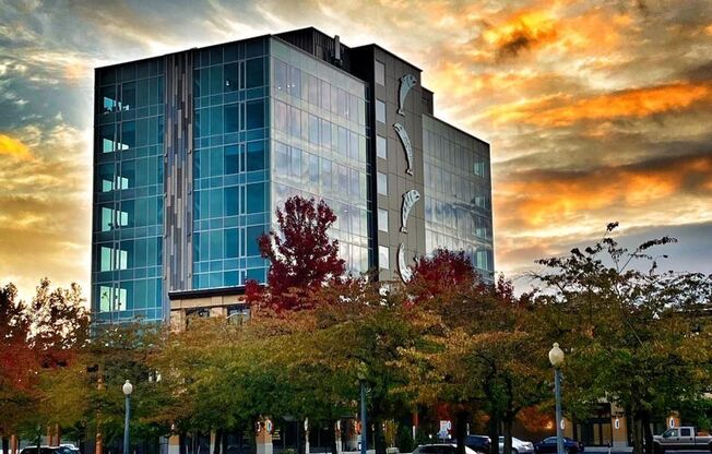 Studio, 1 bath, 346 sqft, $1,595, Unit 410-511