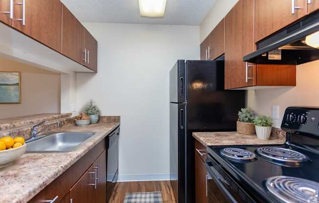 A kitchen with a black refrigerator and a black stove top oven.