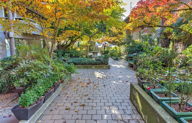 2 beds, 1 bath, $2,300, Unit Unit 104