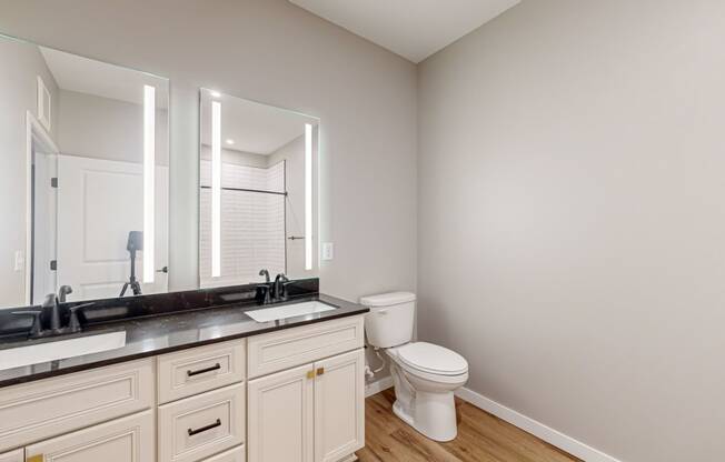 a bathroom with a toilet and a sink and a mirror