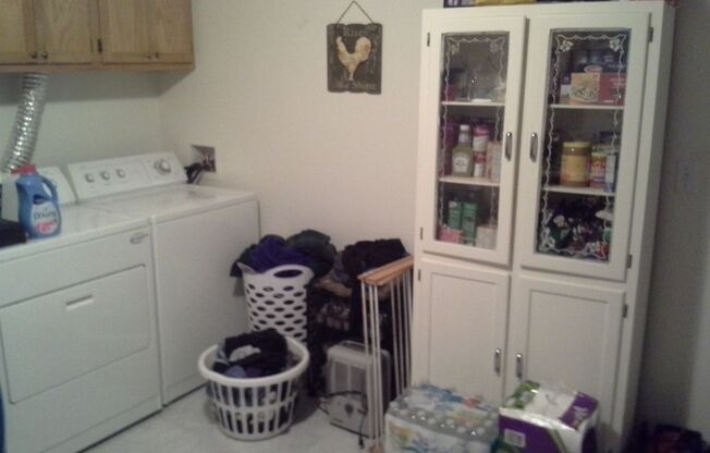 Cheeseplant Apartments