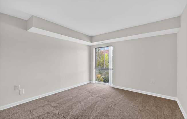 A room with a carpeted floor and a window showing a tree.
