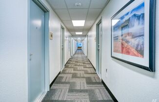 Studio, 1 bath, 260 sqft, $1,032, Unit 207