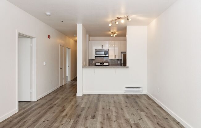 1 bed, 1 bath, 700 sqft, $2,395, Unit 303 - empty
