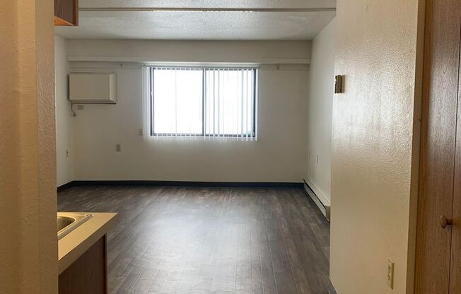 Studio, 1 bath, $625, Unit 1502-07