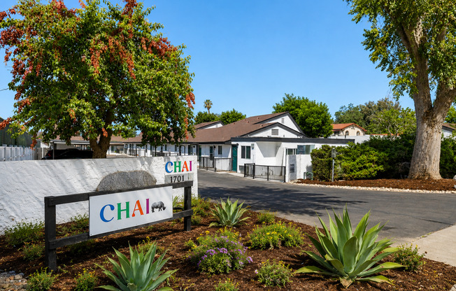 Chai of Escondido