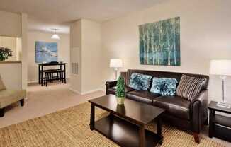 Lakeshire Place Apartment Homes
