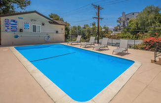 1 bed, 1 bath, 365 sqft, $1,850, Unit 1631-02