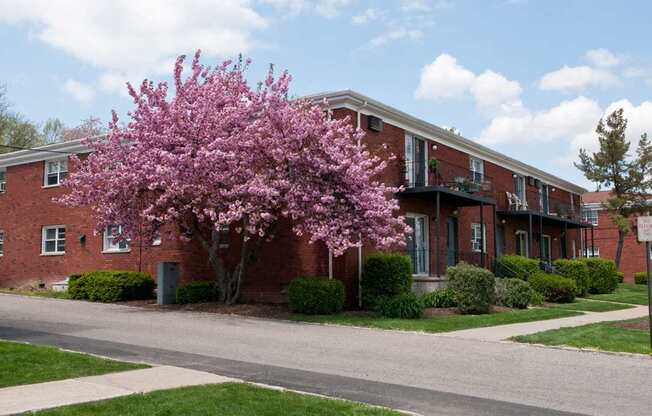 Ample outdoor space for parking at Troy Hills Village in Parsippany, NJ,07054