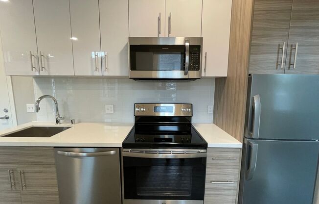 Studio, 1 bath, 243 sqft, $1,295, Unit 207