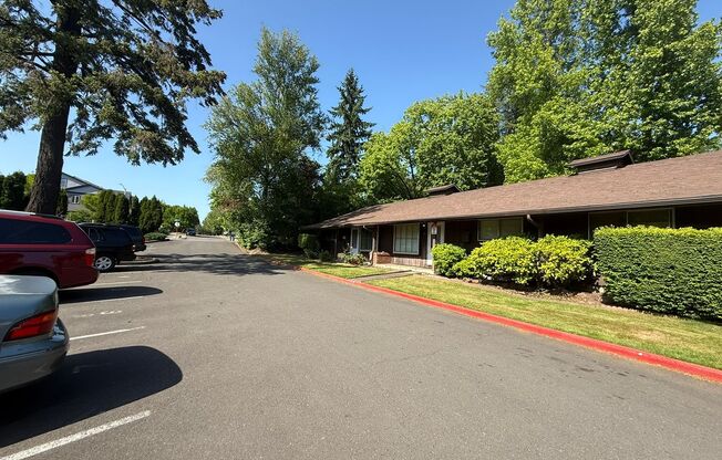 #372 BIRCHES APARTMENTS