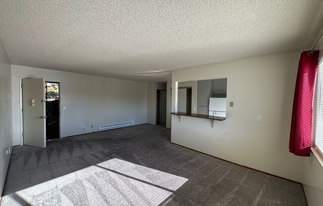 1 bed, 1 bath, $1,800, Unit Apt. B