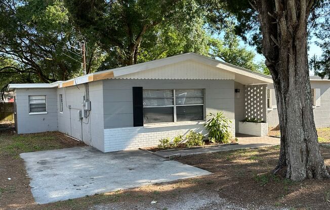 Cozy 4 bedroom 2 bathroom home with a big fenced in back yard