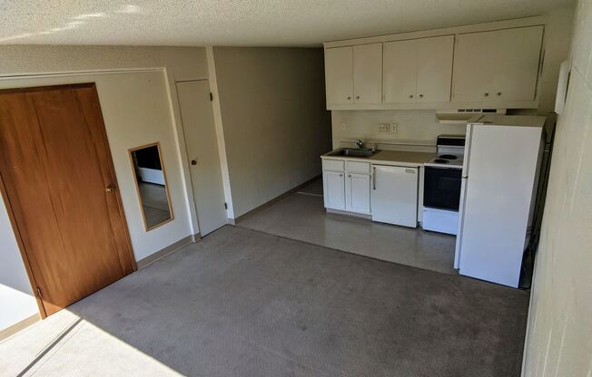 1 bed, 1 bath, 373 sqft, $1,200, Unit 310