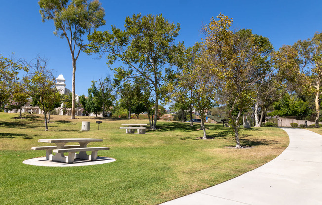 Picnics Made Easy at Altisima Park