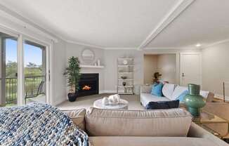 Wood Bruning Fireplace