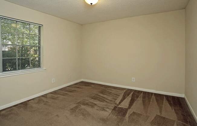 Bedroom with plush carpeting and window