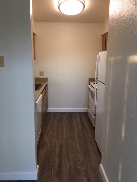 Studio, 1 bath, 600 sqft, $1,060, Unit 204