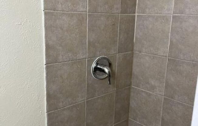 Beautiful 4 Bedroom 2 Bathroom in Carrollton!