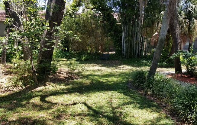 CONDO NEAR USF!