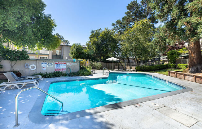 a swimming pool with a tree and a chair next to it