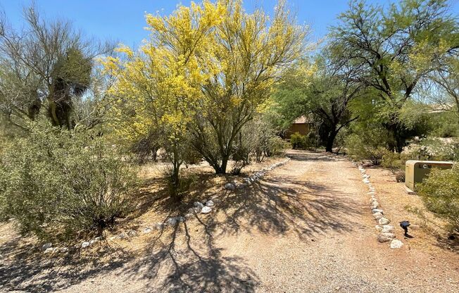 Great Northwest location Magee & La Canada