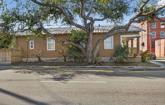 Updated Tampa Home – Prime Central Location 4 Beds - 2 Baths!